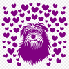 Creative Havanese In SVG - Free Download