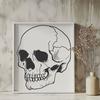 Skull Vector Image In PNG & SVG - Free Digital Download