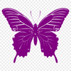 Insect Printable Artwork In SVG, PNG, PDF And DXF File Formats