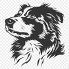 Unique Australian Shepherd Artwork PDF - Free Download