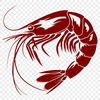 Shrimp Design In PNG File Format For Free Download