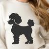 Poodle Illustration In PNG & SVG - Free Digital Download