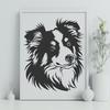 Free Shetland Sheepdog PNG