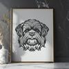 Unique Shih Tzu Digital Artwork