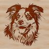 A vector illustration of a head shot of an Australian Shepherd dog breed.