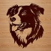 A portrait illustration of a breed-specific Australian Shepherd dog's head with vector lines.