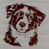 Cute Aussie Dog Face Vector Art A breed-standard illustration of an Australian Shepherd dog with a detailed head and facial features.