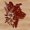 Furry Portrait with Floral Background A portrait of a fluffy Australian Shepherd dog with a floral pattern in the background.