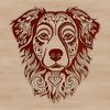 Detailed Australian Shepherd Dog Breed Design Australian Shepherd dog breed illustration featuring a detailed head and body.