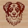 Digital Dog Illustration SVG File A high-quality digital illustration of an Australian Shepherd dog with a prominent head.