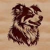 A digital illustration of a typical Australian Shepherd dog's head with its distinctive markings.