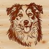 An illustration of a loyal Australian Shepherd breed with a furry coat and expressive eyes.