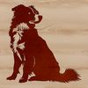 A vector illustration of a calm Australian Shepherd sitting, suitable for design projects.