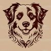 A breed-specific illustration of an Australian Shepherd dog's head in vector format.