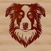 A detailed illustration of a mature Australian Shepherd dog's head with distinct facial features.