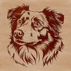 Herding Breed Dog Illustration A digital illustration of a breed of herding dog native to Australia, featuring a distinctive head shape and coat pattern.