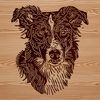 Aussie Dog Breed Portrait Vector Art Vector illustration of an Australian Shepherd dog's head.