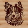 Stylish Australian Shepherd Head Illustration A stylized illustration of an Australian Shepherd's head, suitable for vector design and cutting machine projects.