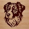 Distinctive Coat Pattern Dog Breed A medium-sized dog with a distinctive coat pattern and erect ears, characteristic of the Australian Shepherd breed.