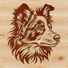 Distinctive Blue Merle Dog Breed Portrait An adult Australian Shepherd dog with a distinctive coat pattern and expression.