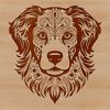 Beautiful Australian Shepherd Head Design A medium-sized Australian Shepherd dog with a distinctive head shape and markings.