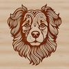 Australian Shepherd Dog Breed Portrait Illustration A detailed illustration of a dog's head, featuring the characteristics of an Australian Shepherd breed.