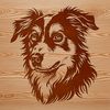 Detailed Dog Illustration in Vector Format A detailed illustration of a dog's head, showcasing the features of an Australian Shepherd breed.