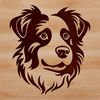 Close-up portrait of a friendly Australian Shepherd dog with a gentle expression.