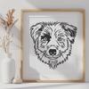 Friendly Aussie Shepherd Illustration A high-quality vector illustration of a friendly Australian Shepherd dog with its head held high.