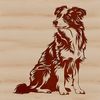 Friendly Aussie Breed Illustration A highly detailed illustration of a sitting Australian Shepherd dog breed with a calm expression.