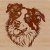 Australian Breed Dog Portrait A high-quality illustration of a medium-sized dog with a thick coat, characteristic of the Australian Shepherd breed.