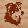 A high-quality digital illustration of a Australian Shepherd dog with its head held high.