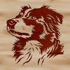 A high-quality image of a Australian Shepherd's head, suitable for vector design and clip art.