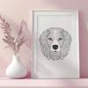 Australian Shepherd Digital Drawing In PNG & SVG - Free Digital Download