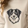 Beautiful Australian Shepherd - Animal PNG