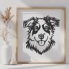 Beautiful Australian Shepherd Stencil