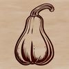 A detailed illustration of a squash with its unique ridges and texture.