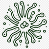 Microscopic Bacterial Cell Illustration A detailed illustration of a single bacterium in various stages of growth.