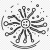 A detailed illustration of a bacteria cell with its cell membrane and flagella.