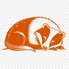 A detailed illustration of a sleeping wild animal, specifically a badger.
