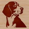 A close-up illustration of a Beagle's head, suitable for various design applications.
