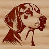 A detailed illustration of a Beagle's head from the front view, suitable for vector art designs.