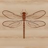 Dragonfly Vector Art Illustration Illustration of a dragonfly insect in vector format.