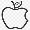 Freshly Picked Apple Icon An isolated vector graphic representation of a single apple in a circular frame.