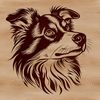 Australian Shepherd Dog Face Vector Illustration An illustration of an Australian Shepherd breed dog's facial features in vector format.