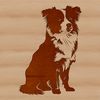 Calm Canine Companion Clip Art A sitting Australian Shepherd dog with a calm expression.