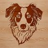 Beautiful Dog Breed Illustration in SVG Format A portrait of a medium-sized Australian Shepherd with a distinctive head shape and intelligent expression.