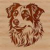 Cute Australian Shepherd Dog Portrait A portrait of a medium-sized Australian Shepherd dog with a calm expression.