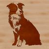 Faithful Australian Shepherd Outdoor Portrait An Australian Shepherd sitting in a natural outdoor setting.