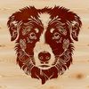 Friendly Australian Shepherd Illustration A stylized illustration of a friendly Australian Shepherd dog's head.